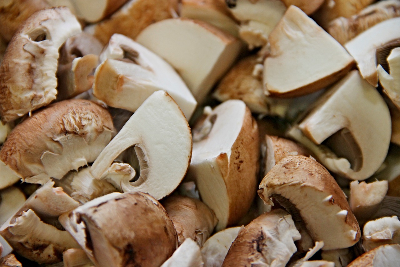 Белые грибы в сметанном соусе с овощами