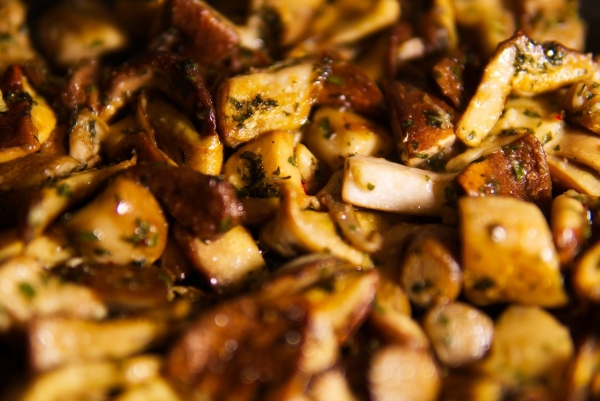 Что приготовить с белыми грибами — рецепты и советы