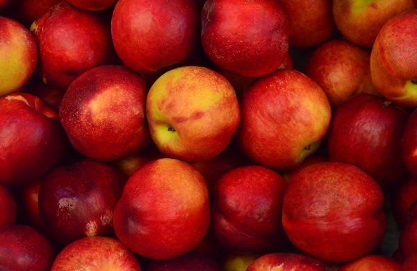 Що приготувати з яблук – осінні рецепти