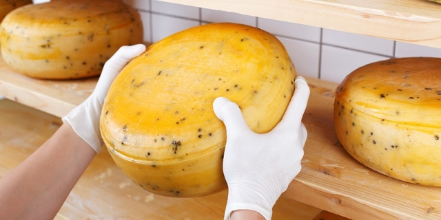 Bashtanka cheese plant has been certified ISO 9001 and ISO 22000