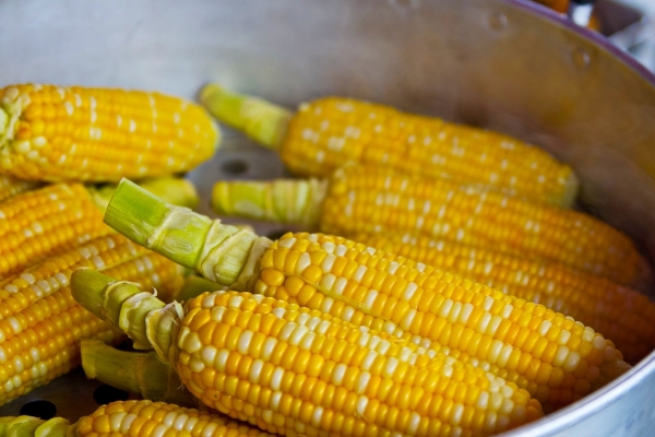 У чому користь кукурудзи і що з нею приготувати — смачні і незвичайні рецепти