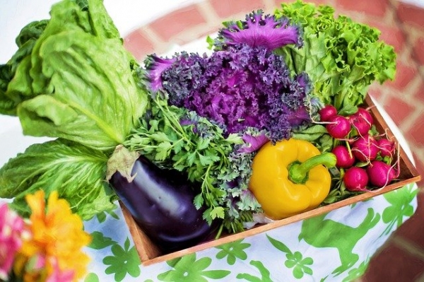 Готовим летние низкокалорийные салаты — вкусные рецепты