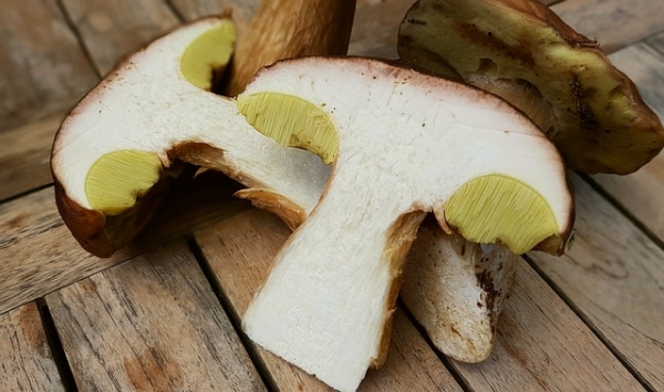 Что приготовить из белых грибов — 3 вкусных осенних рецепта